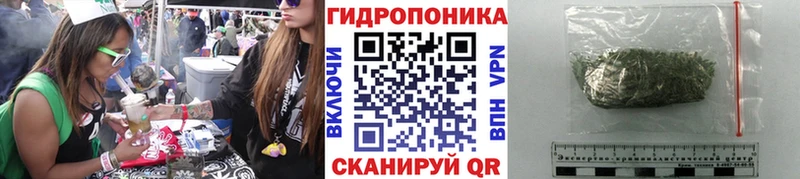 Бошки марихуана конопля  Дмитров 